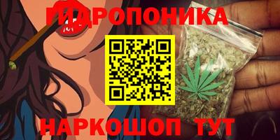 каннабис Будённовск