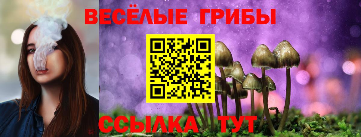 Галлюциногенные грибы Cubensis  Вход с VPN  Бердск 